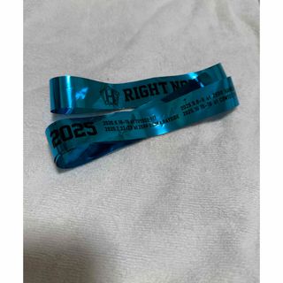 核P-MODEL（平沢進） 回=回ライブグッズ ウエストポーチ赤 平沢進