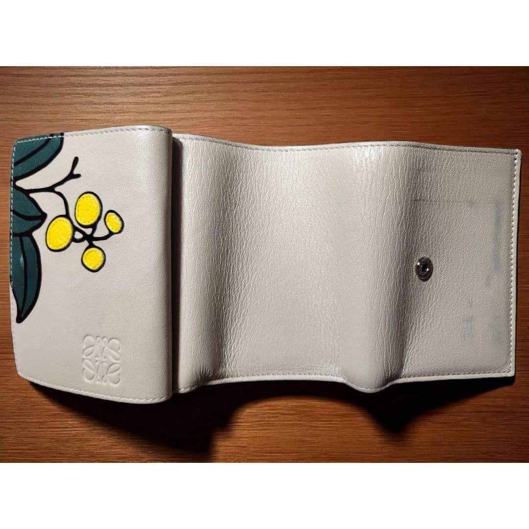 LOEWE ロエベ 三つ折り財布 ハーバリウム 希少