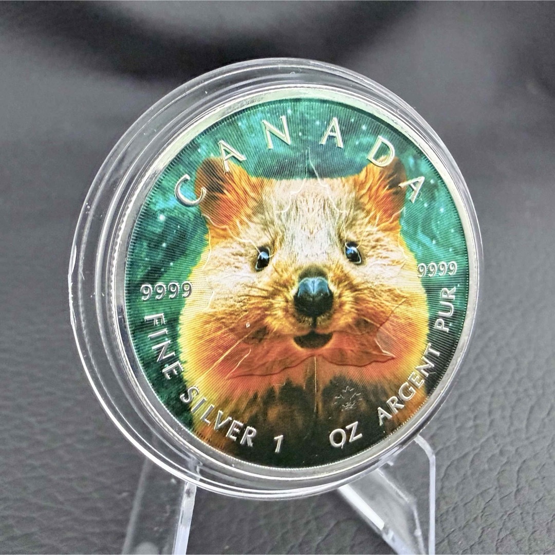 世界100枚限定！】 メイプルリーフ 銀貨 カラー クォッカワラビー 1