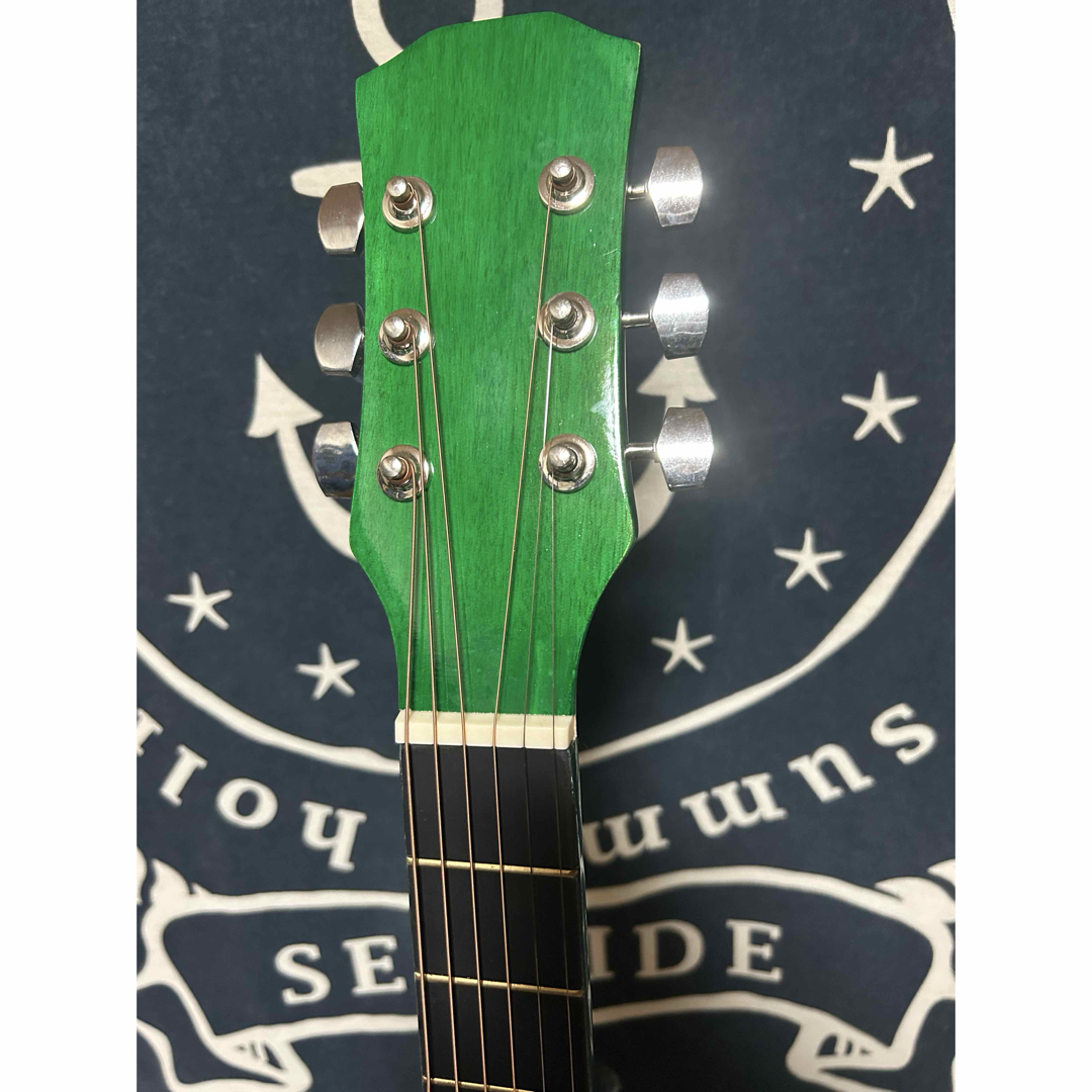 今月末迄特価❣️新品未使用グリーン タイガーグラフィック