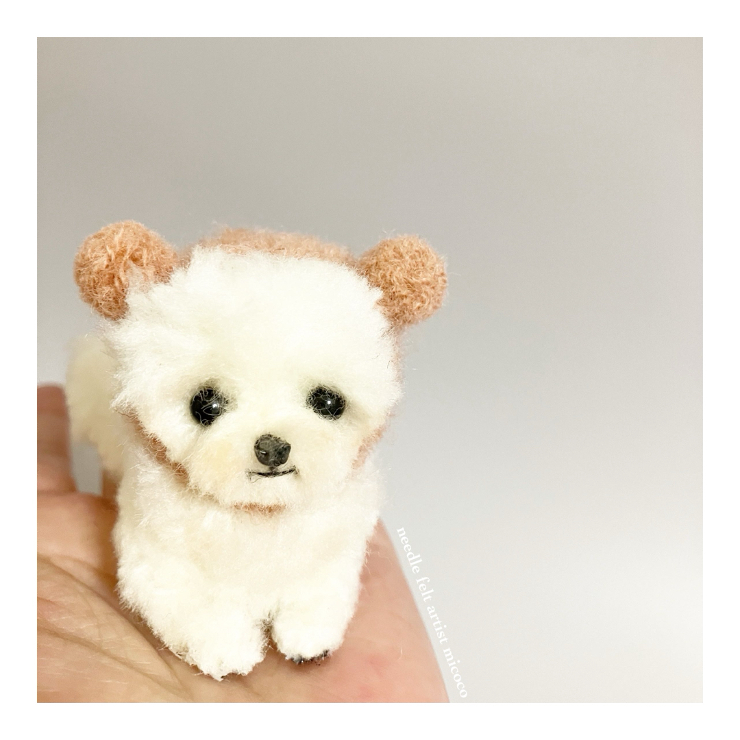 羊毛フェルト犬｜マルプー｜マルチーズ｜トイプー｜チワプー｜ポメプー