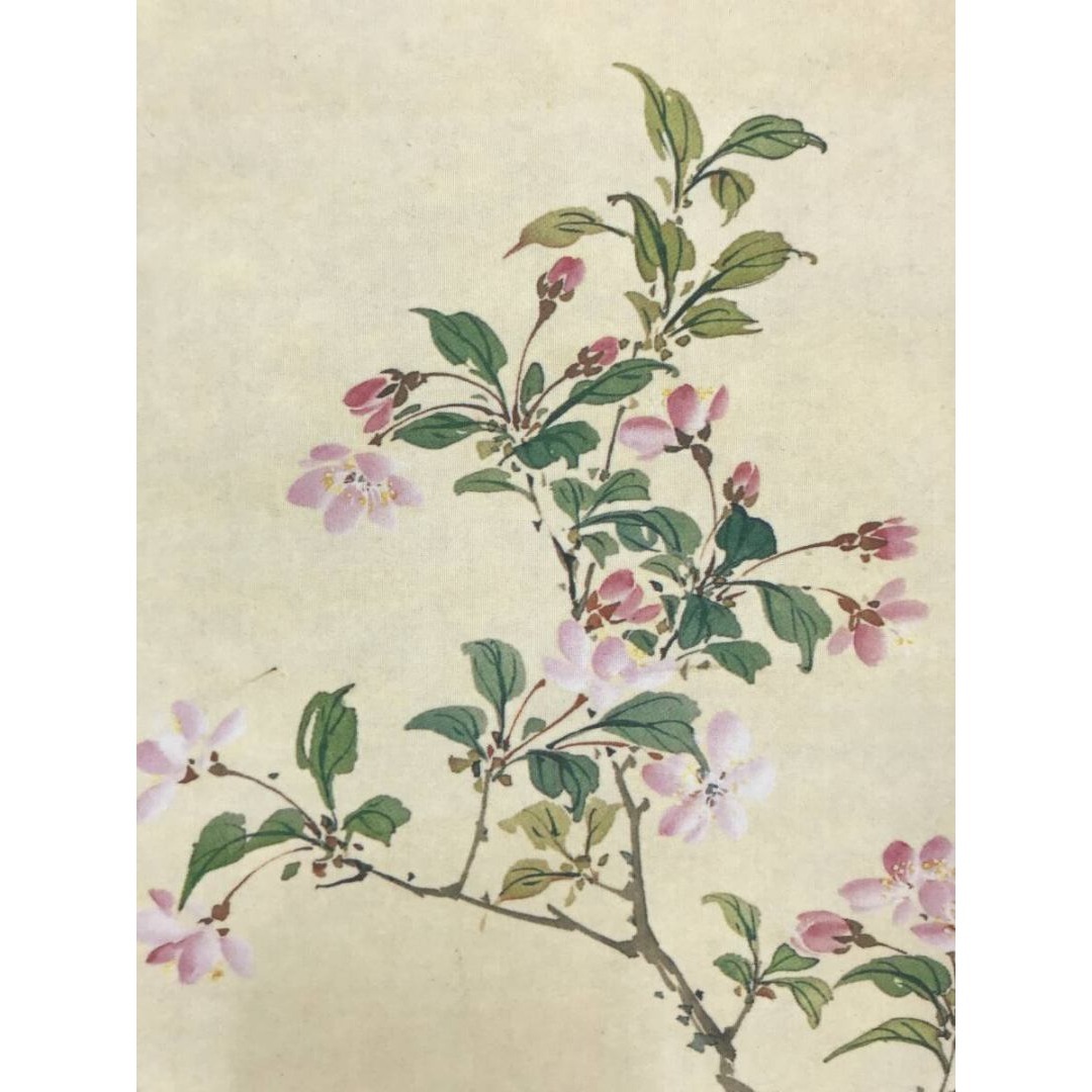 複製/野口小蘋/牡丹図/工芸品/木蓮/花図/花鳥図/掛軸☆宝船☆AK-224の