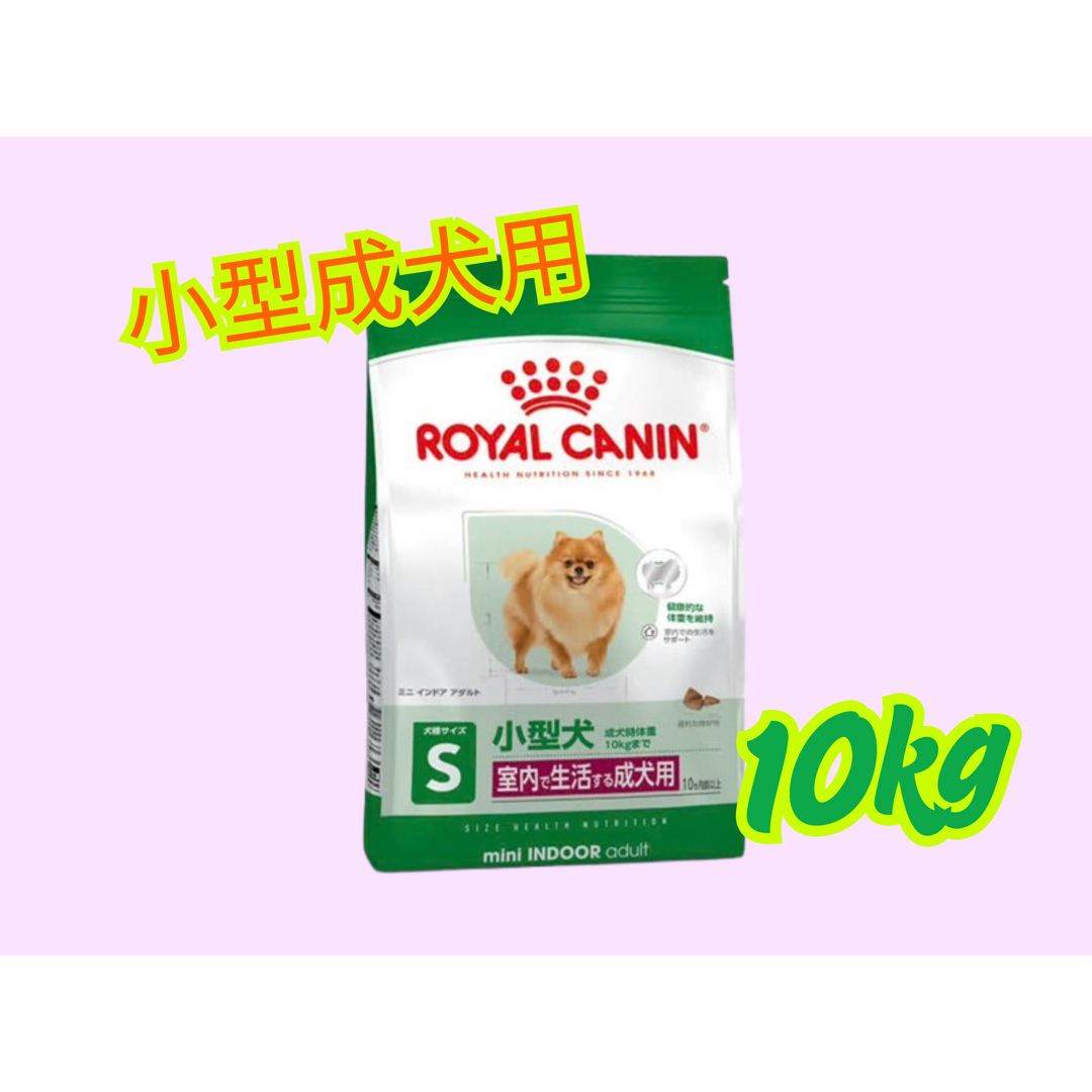 オンライン ロイヤルカナン ミニインドアアダルト10kg 室内で生活する