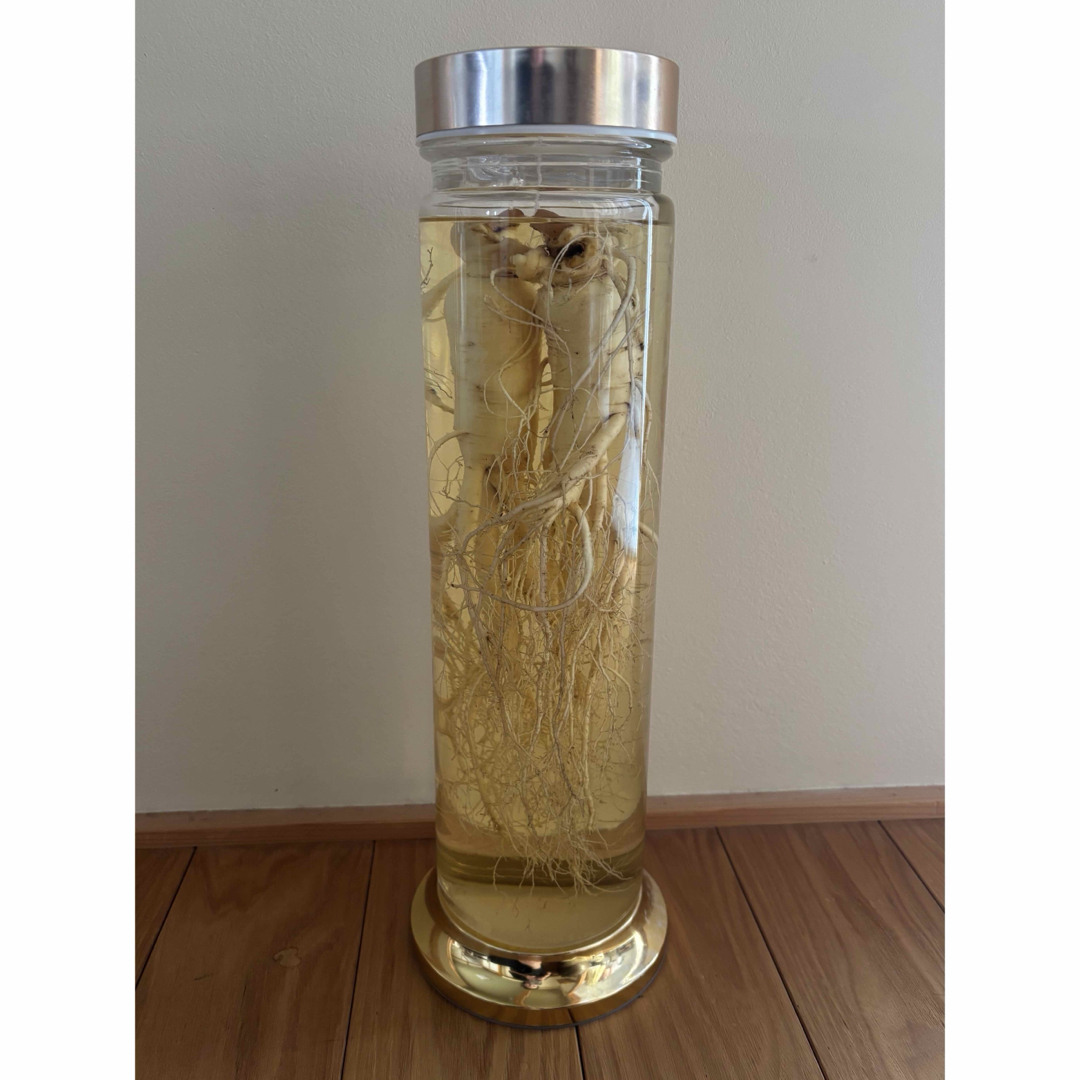 未開栓 朝鮮人参酒 古酒 健康酒 薬酒