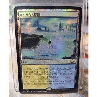 エインシャント・ブラス・ドラゴン foil 日本語 ボーダーレ