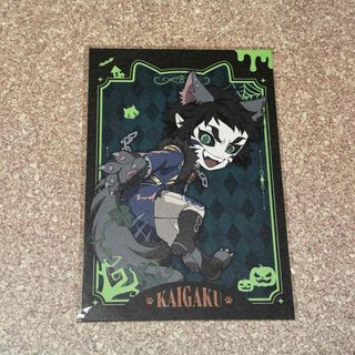 ヒロアカ バラエティカード 学生証 ヒーロー認定許可証 緑谷出久 飯田天哉