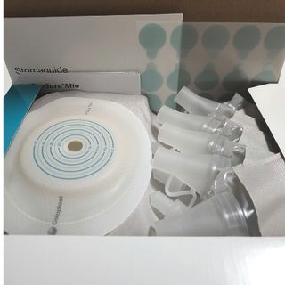 第三十三番 華厳寺 散華 西国三十三所 散華 第三十三番 谷汲山 華厳寺