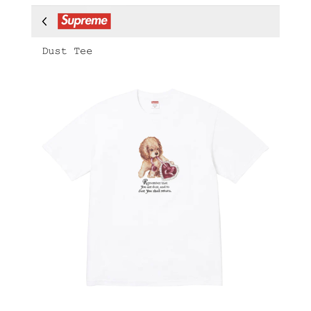 Supreme - 【新品・未使用】Supreme シュプリーム Dust Tee / Sの通販