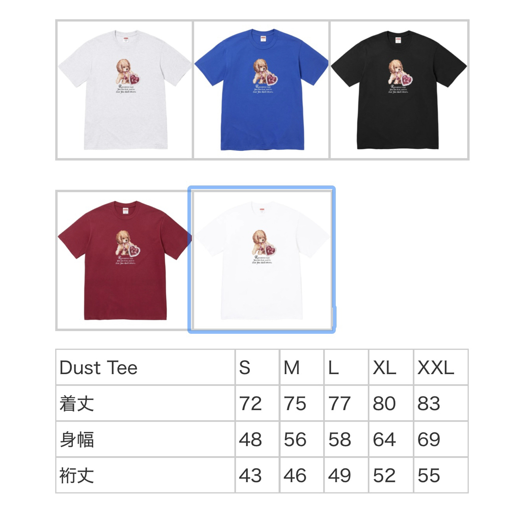 Supreme - 【新品・未使用】Supreme シュプリーム Dust Tee / Sの通販
