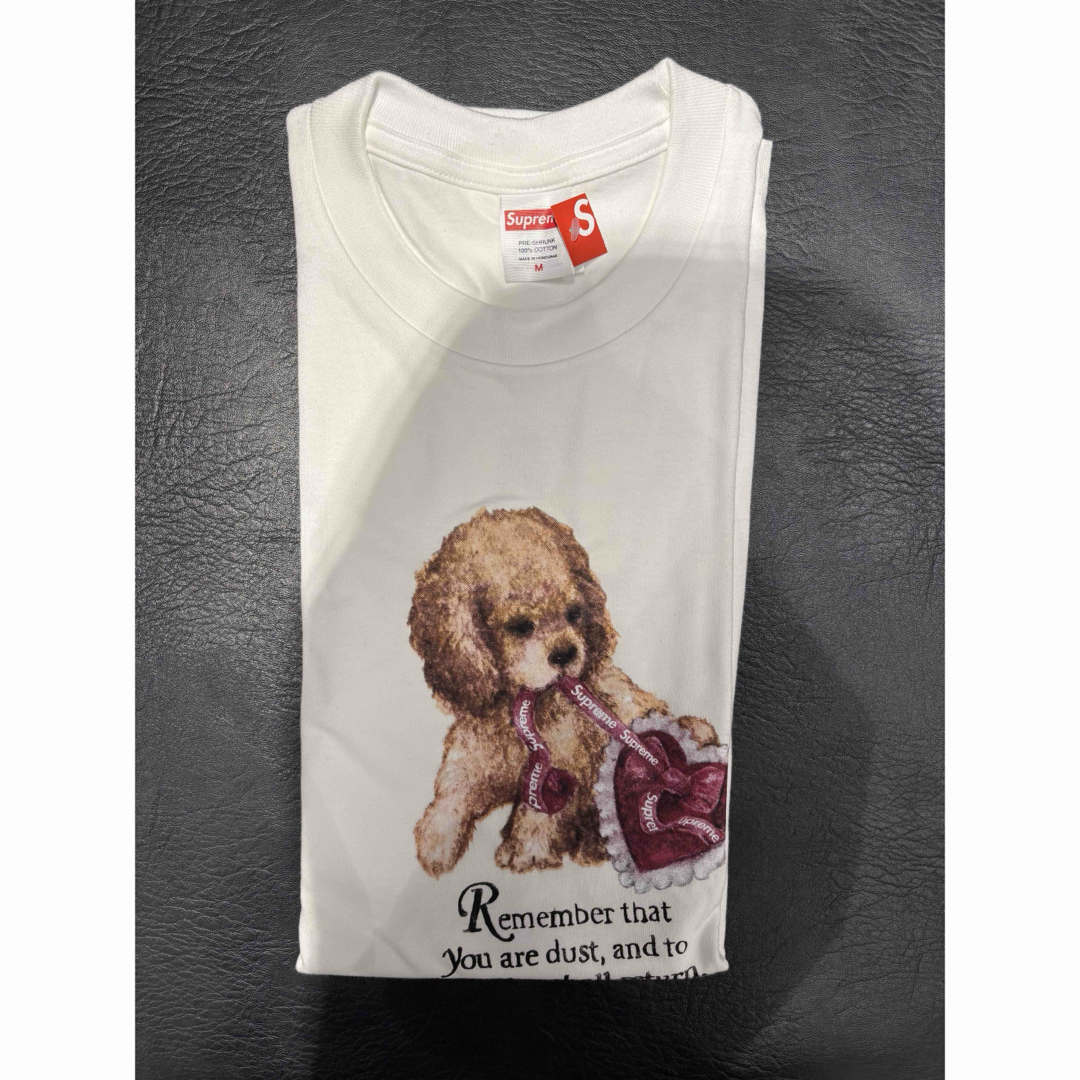 Supreme - supreme 25FW Dust Tee White Mサイズの通販 by たんぽぽ's