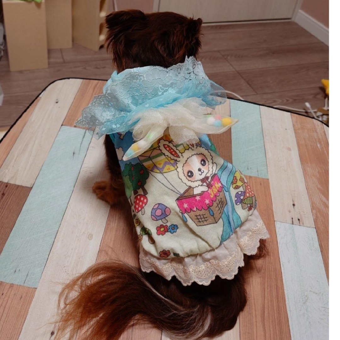 J＆Kanimals はるちゃんワンピース 廃盤品 イースター限定 3SーL