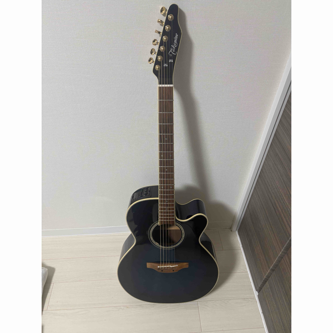 TDP500-6DBS 長渕剛モデル 限定250本生産品 シングルヘッドモデル