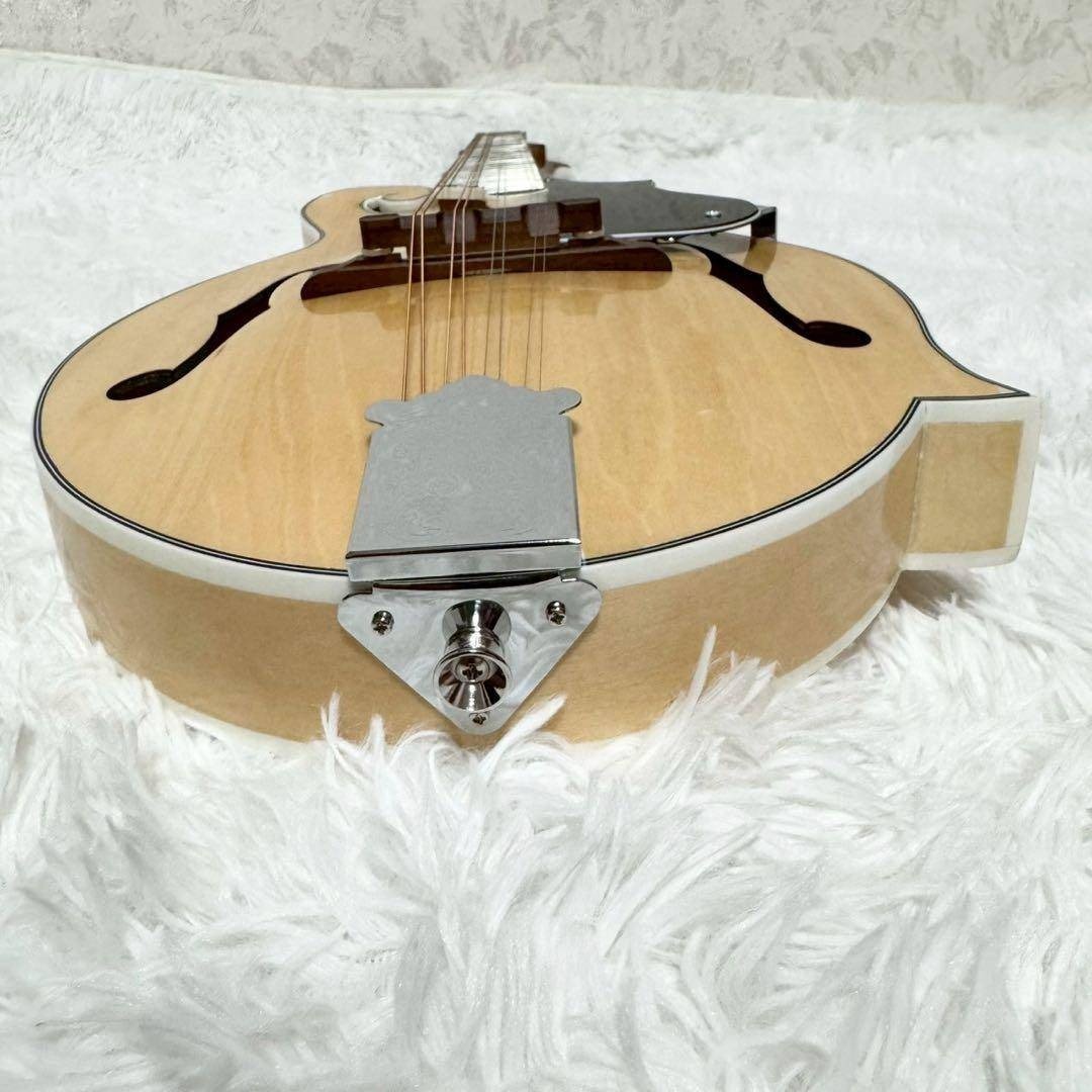 希少美品』Mylowe フラットマンドリン ハードケース付き