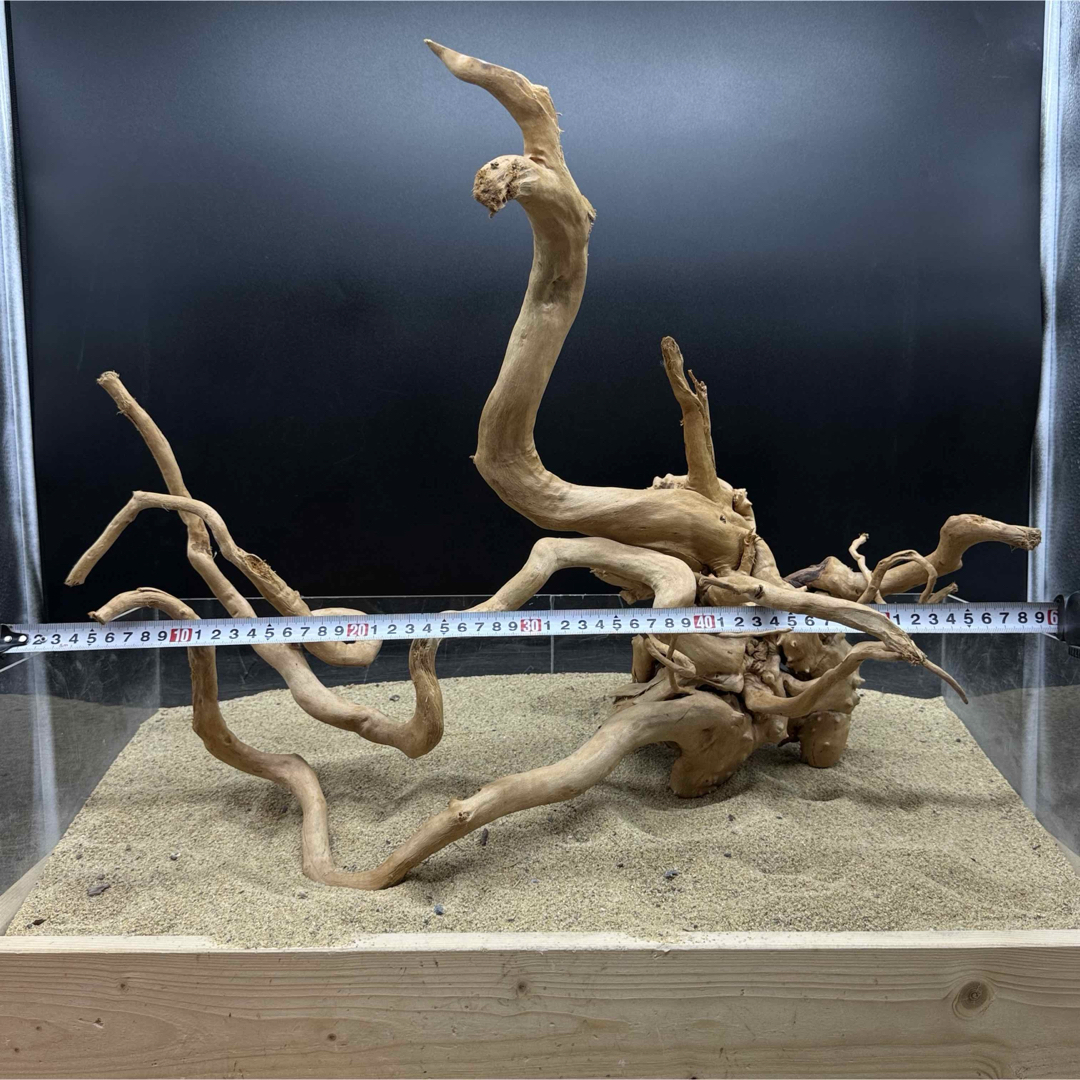 MDW-7000 特大ブランチウッド 流木 枝流木 アクアリウム