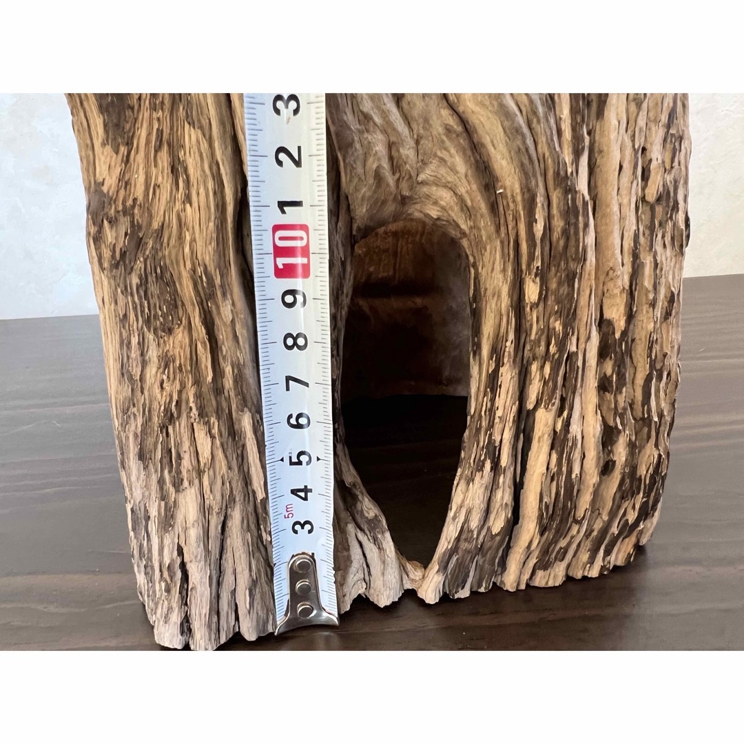 HX-008 流木 空洞 爬虫類 アクアリウム アクアテラリウム 即沈水