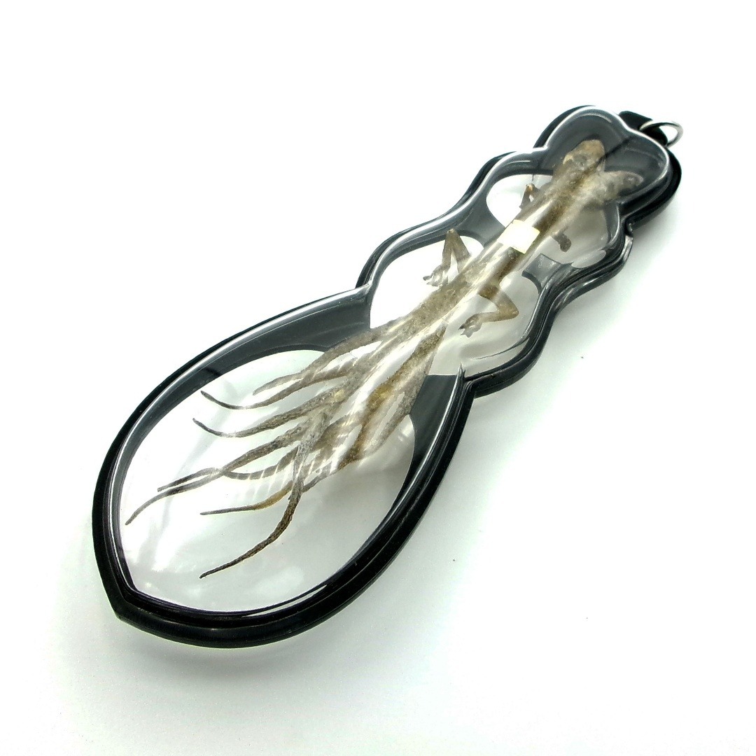 タイ お守り 2頭・9尾のトカゲ ヤモリ ギャンブル ビジネス運 現地購入