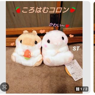 えぞりす | ファーム富田の通信販売｜オンラインショップ くったり