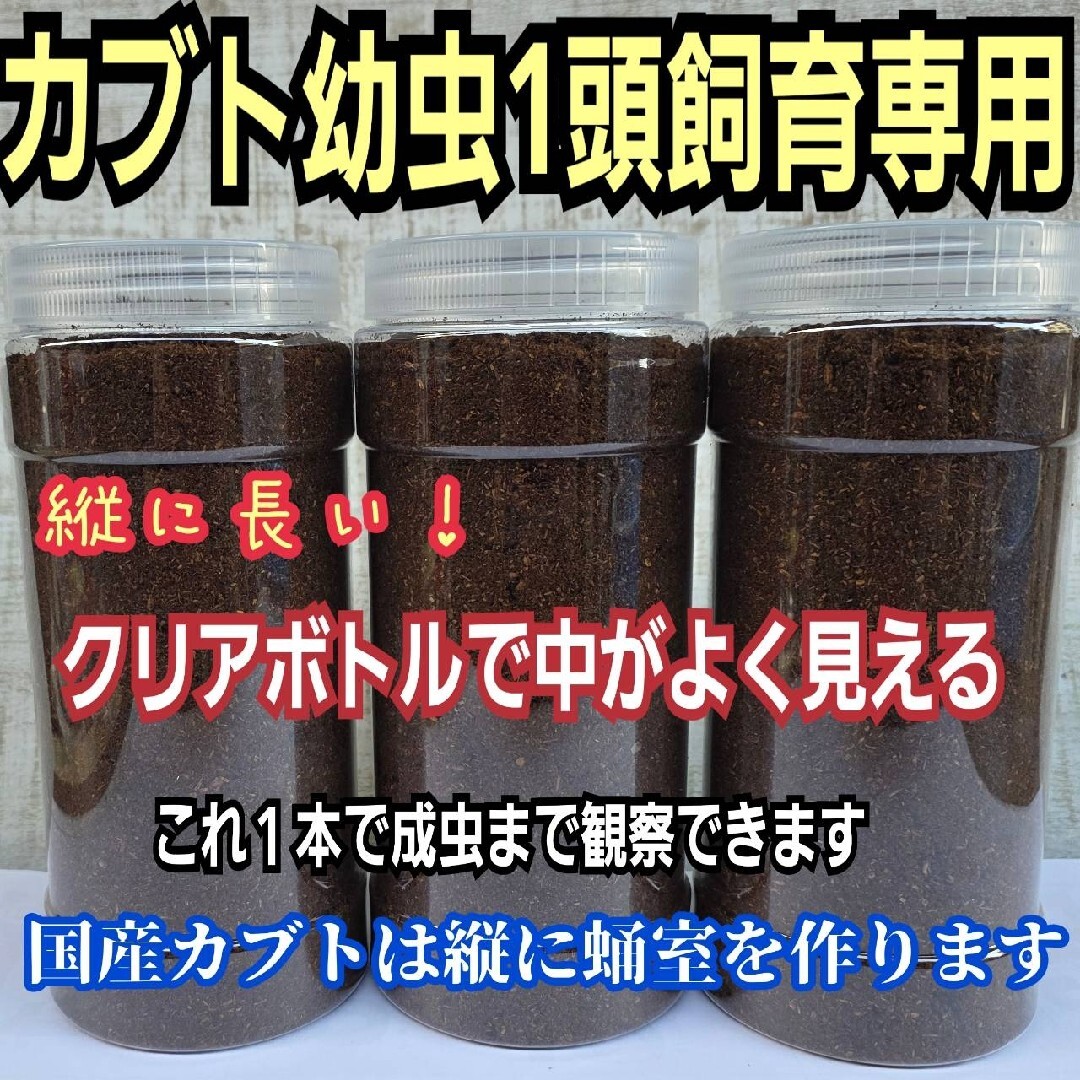 発酵マット入り！国産カブトムシ幼虫1頭飼育専用縦長クリアボト【12本