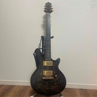 フジゲン ネオクラシックシリーズ レスポール ゴールドトップの通販 by