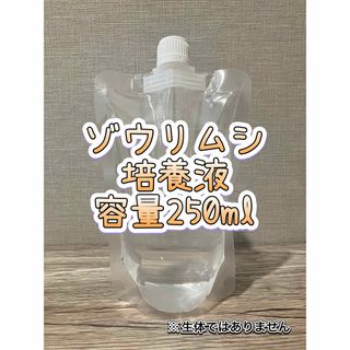 Aqua Design Amano - ADA APグラス ガラス製給餌器の通販 by ぽた's