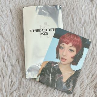 ポートレート】the GazettE ガゼット／ザクロ型の憂鬱の通販 by