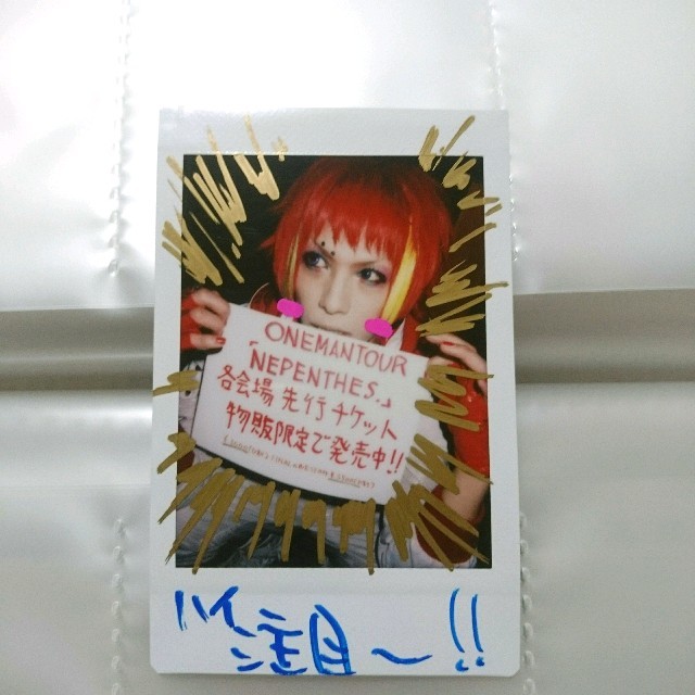 コドモドラゴン ハヤト チェキ 101枚セット コドモドラゴン ハヤト