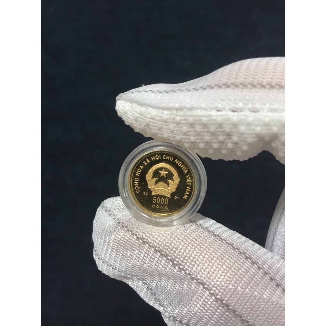 ベトナムドン ベトナムコイン 「巳年」5000ドン金貨 1/25オンス 純金の