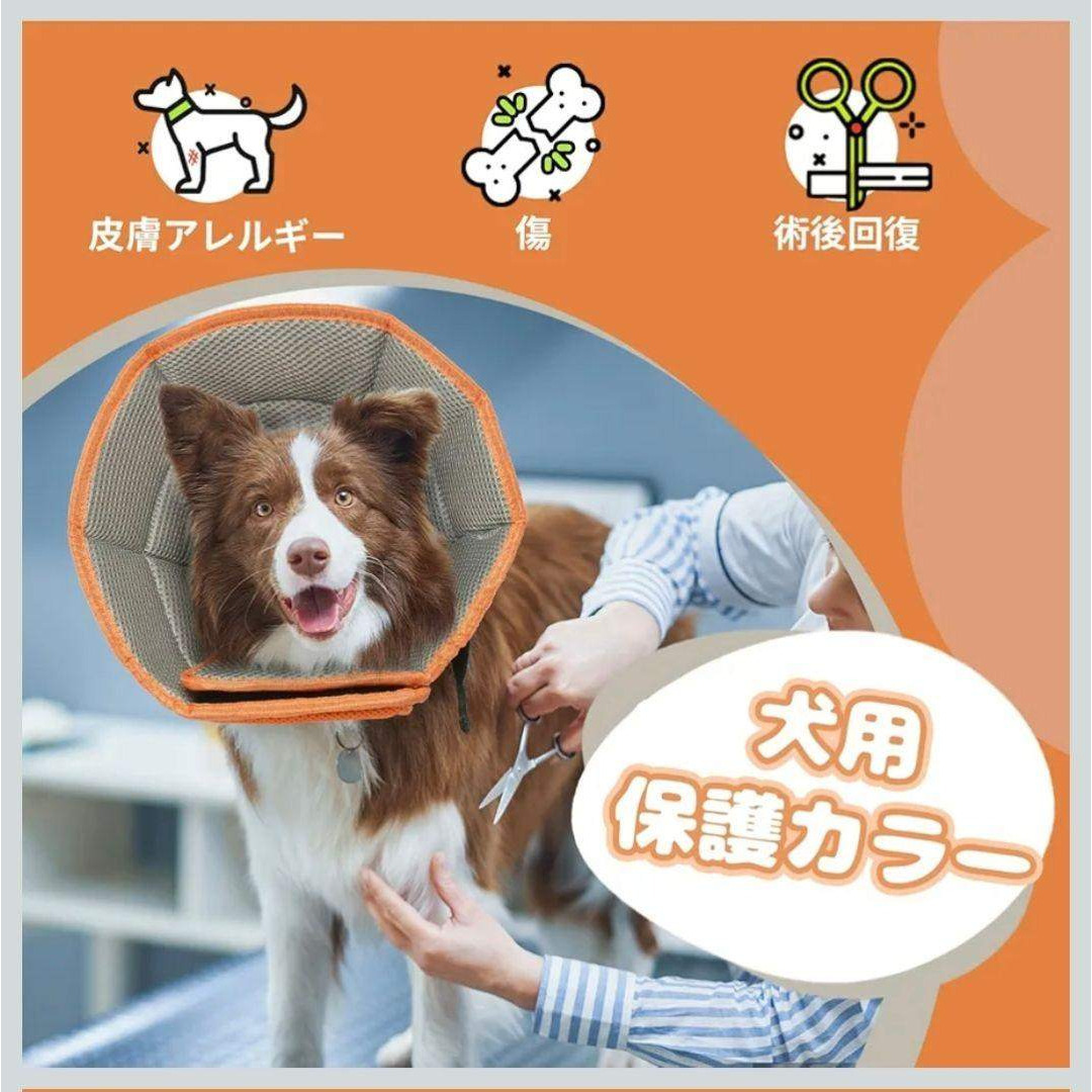 オレンジ エリザベスカラー Lサイズの通販 by わんにゃんshop｜ラクマ