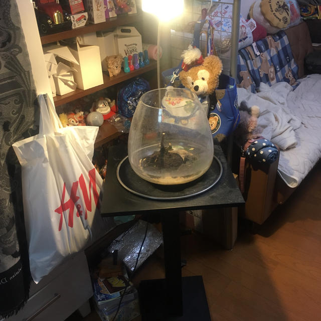 ADAブランチスタンド、ブランチ、プラントグラスセット