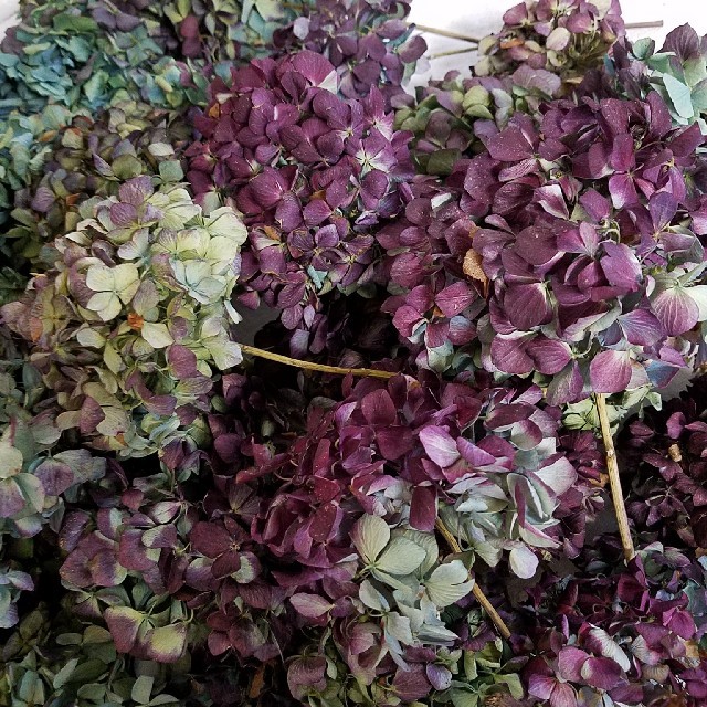 hanaさまご確認用 yuu hana様ご確認用 yuu hana様ご確認