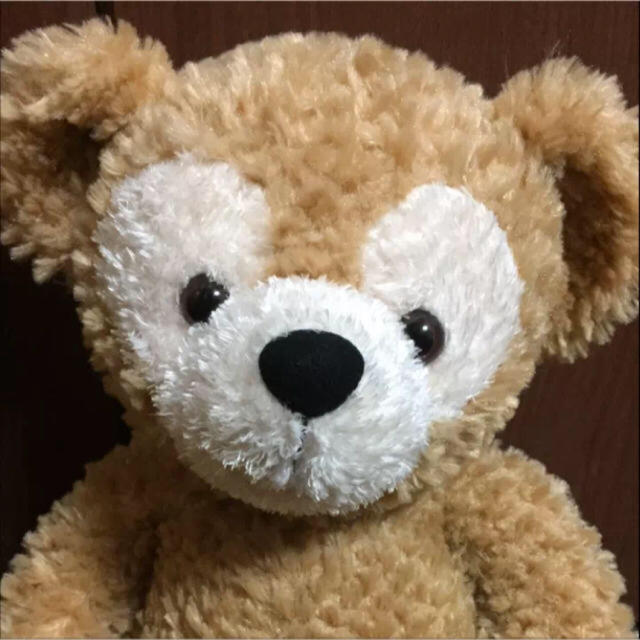 ダッフィー ダッフィー 中国 初期 たぬき 初期 ディズニーベア Sサイズ