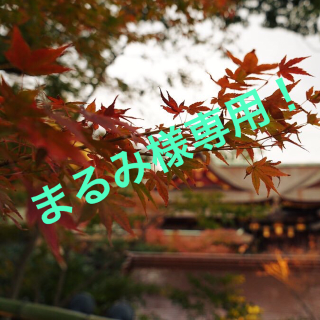 煎茶道具 黄銅 落葉壷 茶こぼし 建水 在銘 共箱 V R8904