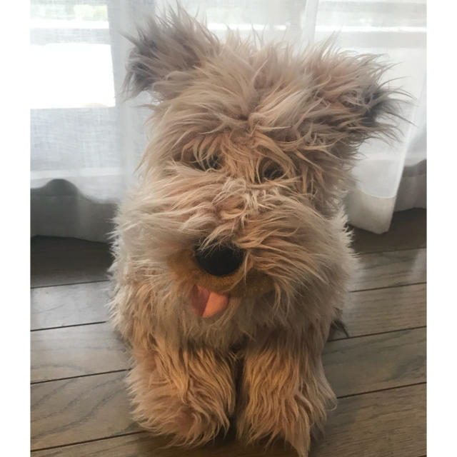 USJ - 激レア USJ限定 バックトゥザフューチャー アインシュタイン