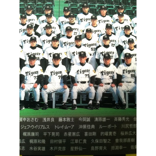 再々お値下け！阪神タイガース2003優勝フォトブック