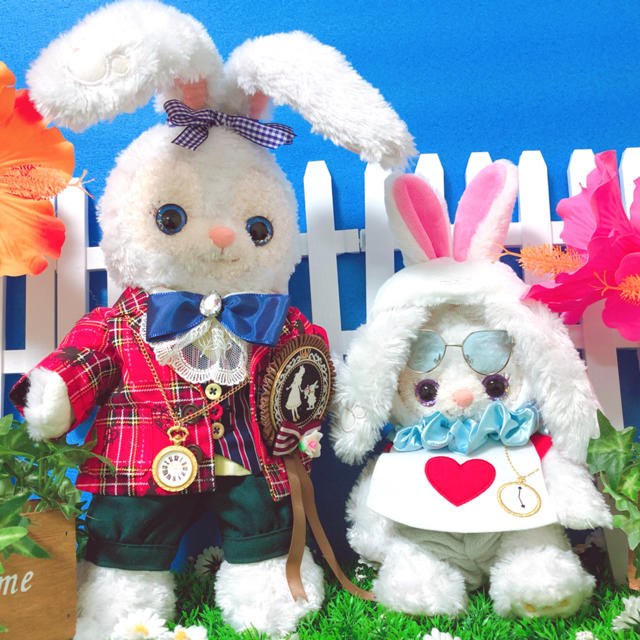 染色ステラルーSサイズリメイク 染色ステラルーSサイズリメイク ステラ