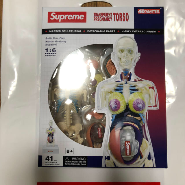 Supreme - Supreme Female Anatomy Model 女性人体模型の通販 by