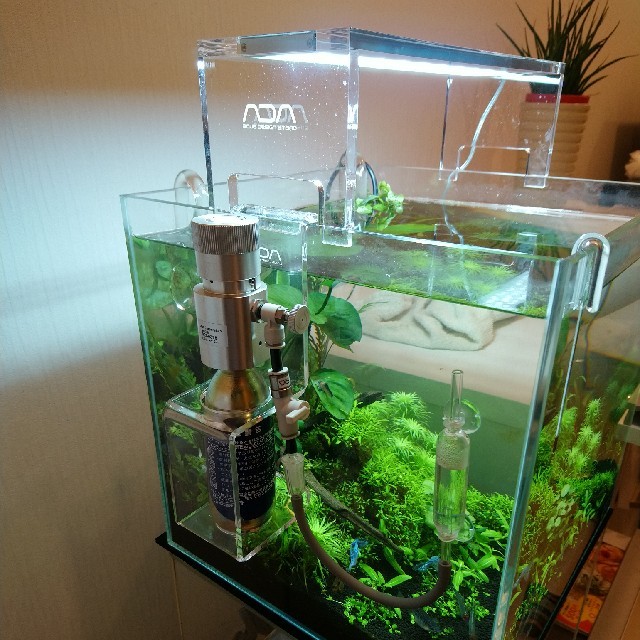 ADA CO2 ADVANCED SYSTEM-FOREST + クリアスタンド ADA CO2 Advanced