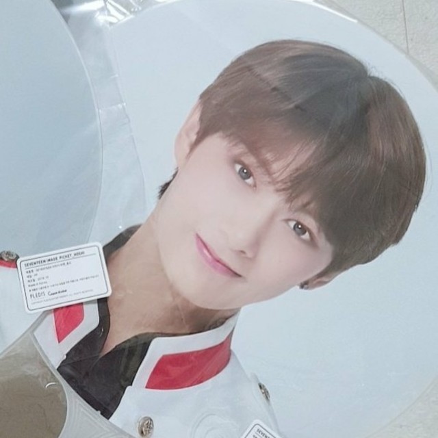 SEVENTEEN セブチ ジュン うちわ IDEAL CUT ソウルコン seventeen