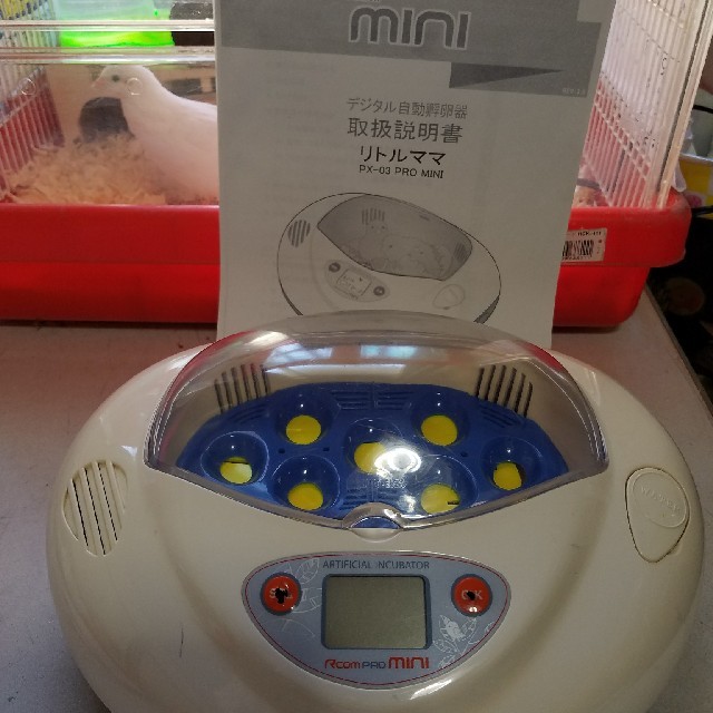 リトル・ママ人工孵化器Rcom mini（PX-03） Pro Mini 3 Incubator