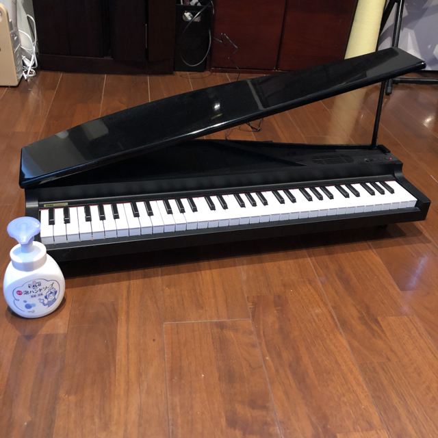 KORGマイクロピアノ microPIANO - DIGITAL PIANO | KORG (Japan)