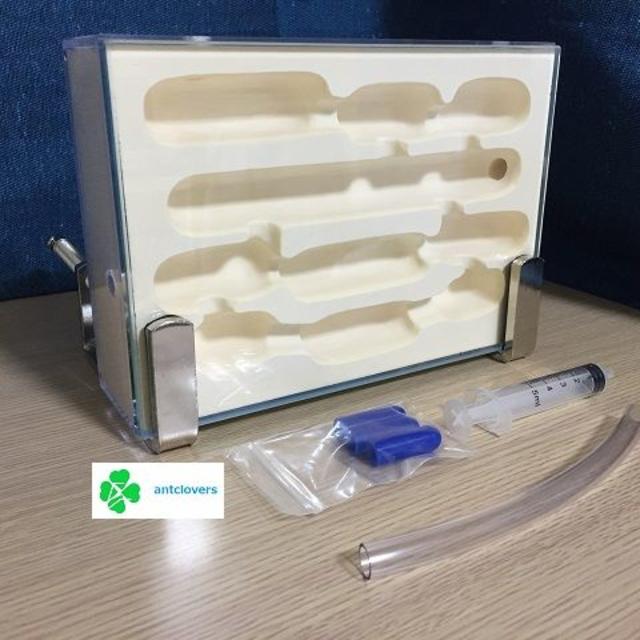 アリ飼育観察ケース(餌場セット付)蟻の巣(石膏) クリアランス アリの