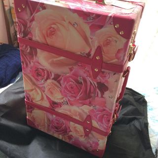 EmiriaWiz（スーツケース/キャリーバッグ）のフリマアイテム一覧