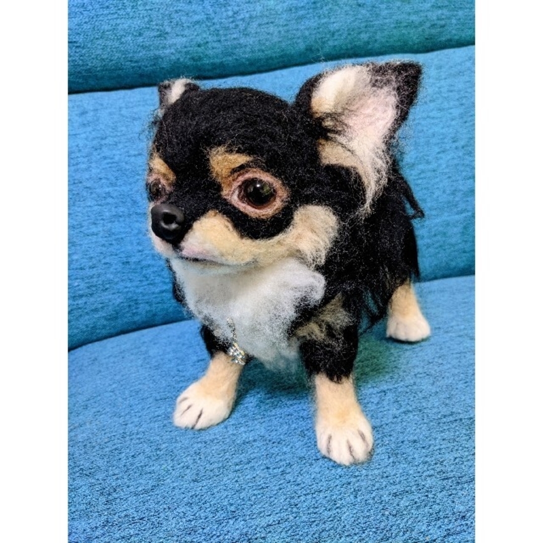 ✨💗羊毛フェルト🐶ロングコートチワワ💗犬No.00の通販 by ジュース's