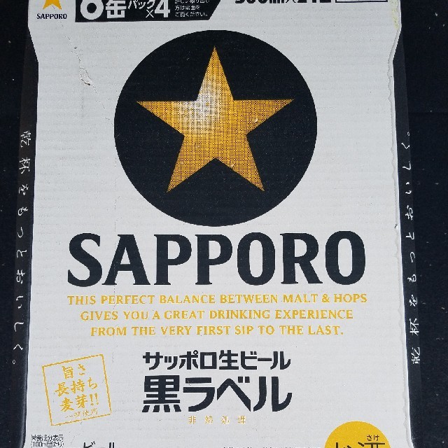 サッポロ 黒ラベル 黒ラベル500ml×2ケース 500ml 24缶入り×2ケース