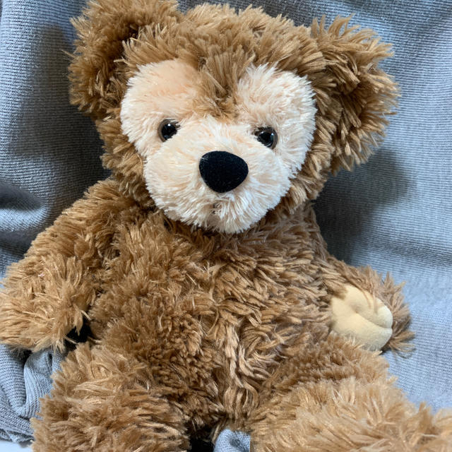 wdwダッフィー ディズニーベア WDW ブラウン WDW ダッフィー ブラウン