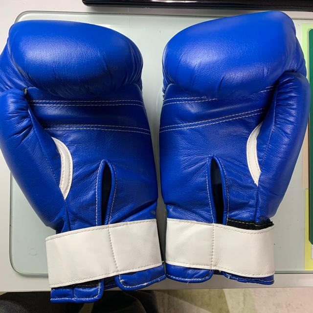 ボクシンググローブ グローブミットセット 14OZ 【美品】WINDY