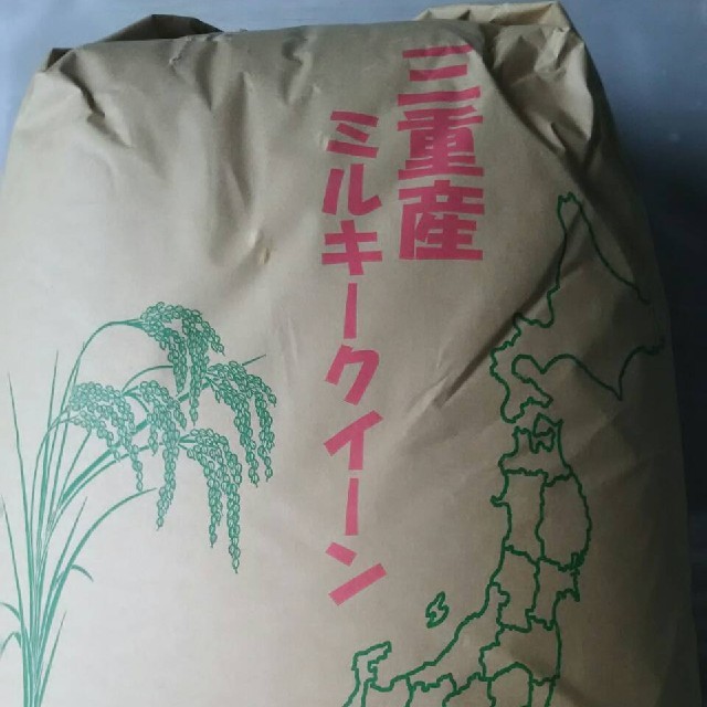 ユヤマ マルチリボンカセット 8巻 2024