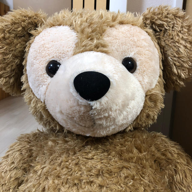 美品！ダッフィー ぬいぐるみ Lサイズ ダッフィーあなたの知らない「旧