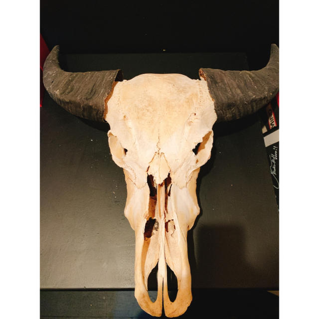 レア！）トランプ大統領 1オンス 大型カラー銀貨 ホワイトハウス