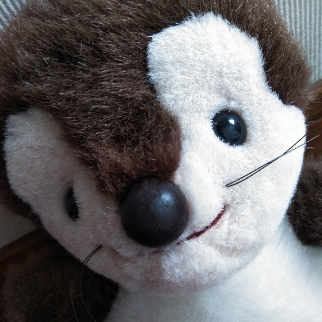 ファースト社 ファースト社 たぬきのたま吉 ぬいぐるみ たぬき たま吉